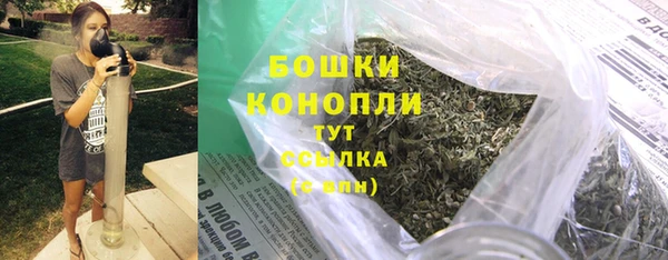 гашик Бронницы