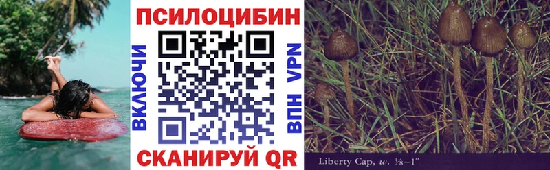 Галлюциногенные грибы Psilocybe  купить   Курск 